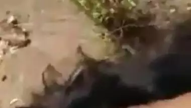 Indian gf bf sex